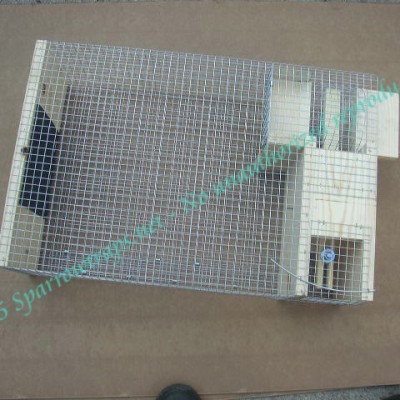 The Trap – Sparrowtraps.net